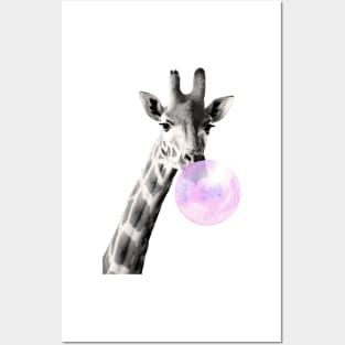 Giraffe, bubblegum, bubble, black and white, photo, giraffe bubblegum Posters and Art